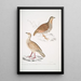 Perdrix des bois Perdix gularis 2 Perdrix orientale Perdix orientalis - John Edward Gray — framed artwork on a wall