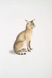 Chat allié Felis affinis - John Edward Gray — artwork view