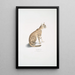 Beautiful cat Felis ornata - John Edward Gray — framed artwork on a wall