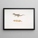 Beautiful Cyrtodactylus Cyrtodactylus pulchellus - John Edward Gray — framed artwork on a wall