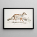 Renard Bengal Canis Vulpes Bengalensis Canis Kokree - John Edward Gray — framed artwork on a wall