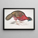 Faisan cornu du Bengale Satyra Lathami - John Edward Gray — framed artwork on a wall
