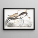 Chinese Parra Parra sinensis painting with 1 adult, 2 juveniles, and 3 newly hatched chicks - John Edward Gray — framed artwork on a wall