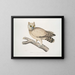 Coromandel Owl Painting - John Edward Gray — framed artwork on a wall