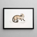 Crosss Paradoxurus Paradoxurus Crossii - John Edward Gray — framed artwork on a wall