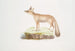 Fox of the Doab Painting Canis Vulpes rufescens female - John Edward Gray — artwork view
