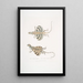 Lizard dragon with five bands Draco quinquefasciata - John Edward Gray — framed artwork on a wall
