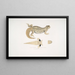 Uromastix de Hardwicke, Uromastix hardwickii de l'Hindoustan - John Edward Gray — framed artwork on a wall
