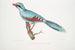 Chasse au corbeau Kitta venatorius - John Edward Gray — artwork view