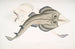 Rhinobate armed Indian - John Edward Gray — artwork view