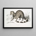 Zibeth Indian Viverra zibetta - John Edward Gray — framed artwork on a wall