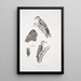 Pic épeichette Picus Macei 1 mâle 2 femelle 2a aile 2b queue - John Edward Gray — framed artwork on a wall