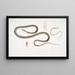 the Tree Snake with Striped Tail Ahtula caudolineata - John Edward Gray — framed artwork on a wall
