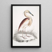 Heron with Brown Back Ardea Grayii - John Edward Gray — framed artwork on a wall