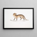 Pale Genette Viverra pallida - John Edward Gray — framed artwork on a wall