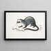 Paradoxe de Pallas, Paradoxurus Pallasii, India - John Edward Gray — framed artwork on a wall
