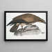 Kingfisher single Halitus unicolor - John Edward Gray — framed artwork on a wall