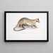 Paradoxure préhensile Paradoxurus prehensilis - John Edward Gray — framed artwork on a wall