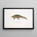 Short-tailed pangolin painting Manis brachyura - John Edward Gray — framed artwork on a wall