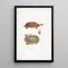 Tortue-boîte à trois bandes Cistuda trifasciata - John Edward Gray — framed artwork on a wall