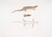 Tiliqua with three bands Tiliqua trivittata - John Edward Gray — artwork view