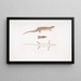 Tiliqua with three bands Tiliqua trivittata - John Edward Gray — framed artwork on a wall