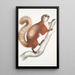 Flying Squirrel with White Belly Pteromys albiventer - John Edward Gray — framed artwork on a wall