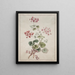 Scarlet Geranium and Variegated - John Edwards — framed artwork on a wall