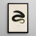 Amphiuma à trois doigts - John Edwards Holbrook — framed artwork on a wall