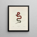 Coronella rhombomaculata - John Edwards Holbrook — framed artwork on a wall