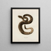 Crotalus adamanteus - John Edwards Holbrook — framed artwork on a wall