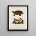 Emys gravé - John Edwards Holbrook — framed artwork on a wall