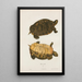 Turtle painted - John Edwards Holbrook — framed artwork on a wall