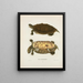 Emys pseudogeographica - John Edwards Holbrook — framed artwork on a wall