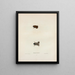 Engystoma carolinense Painting - John Edwards Holbrook — framed artwork on a wall