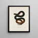 Helicops erythrogrammus - John Edwards Holbrook — framed artwork on a wall