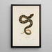 Heterodon à nez plat - John Edwards Holbrook — framed artwork on a wall