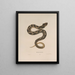 Heterodon platirhinos 2 - John Edwards Holbrook — framed artwork on a wall