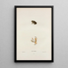 Hyla femoralis - John Edwards Holbrook — framed artwork on a wall