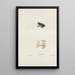 Hyla squirrel - John Edwards Holbrook — framed artwork on a wall