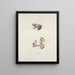 Hyla versicolor - John Edwards Holbrook — framed artwork on a wall