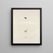 Hylodes ocularis - John Edwards Holbrook — framed artwork on a wall