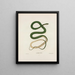 Leptophis summer - John Edwards Holbrook — framed artwork on a wall