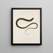 Ophisaurus ventralis - John Edwards Holbrook — framed artwork on a wall