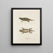 Phrynosoma douglassii - John Edwards Holbrook — framed artwork on a wall
