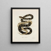 Pituophis melanoleucus - John Edwards Holbrook — framed artwork on a wall