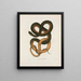 Psammophis flagelliformis - John Edwards Holbrook — framed artwork on a wall