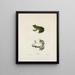 The Sun Is My Life - John Edwards Holbrook — framed artwork on a wall