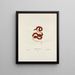 Rhinostoma coccinea - John Edwards Holbrook — framed artwork on a wall