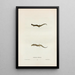 Salamander by Haldeman - John Edwards Holbrook — framed artwork on a wall